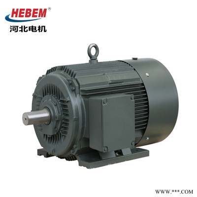 HEBEM河北电机股份有限公司YE3-355L-4 315KW 冠生电机三相异步电动机
