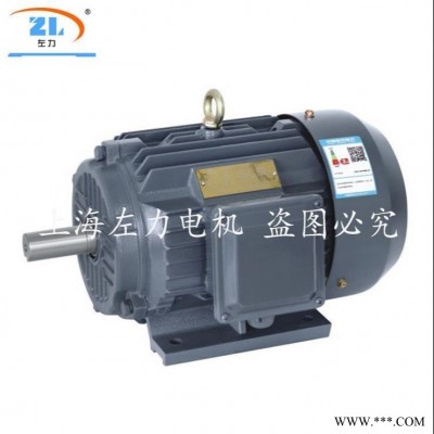 厂家直销上海左力YE2-315S-4电机电机三相异步电动机110KW电动机