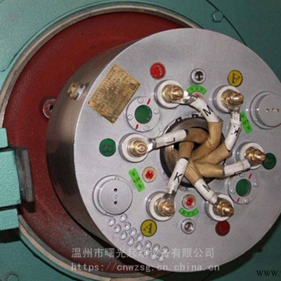 绕线电机WSZK无刷液阻真空电机启动器质优价廉