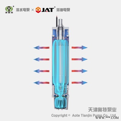 304卧式潜水电机, 不锈钢电动机, 定制型电动马达