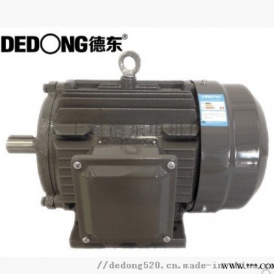 德东  电机 YE2-100L1-4 3KW