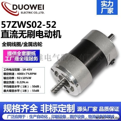 57ZWS02-52直流无刷电机