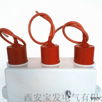西安宝发电容型过电压保护器BF-5R-10/800