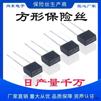 向东电子工厂直销方形保护器MTS2.5A/250V/3.15A250V/4A250V慢断方形塑封保险丝 可订货生产