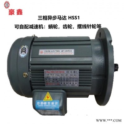 厂家直销HUO SIN 豪鑫异步电机MV-200A