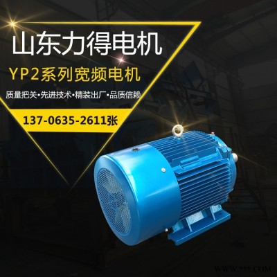 厂家直销宽频电机YP2-250M-4-55KW YP2三相异步宽频调速电动机