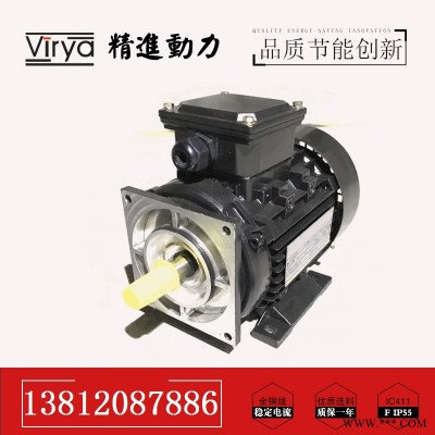 YE3系列高效三相异步电动机 Virya 品牌 厂家
