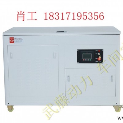 瑞昌40kw15千瓦汽油发电机|四缸静音发电机价格