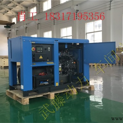 40KW12kw静音全自动汽油发电机沼气