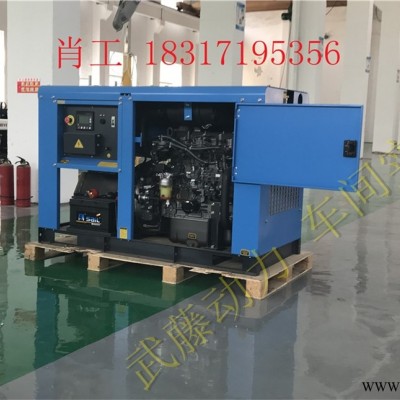 12KW15kw箱式便携式汽油发电机进口德国