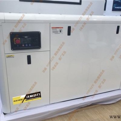 南京240KW25kw超静音汽油发电机