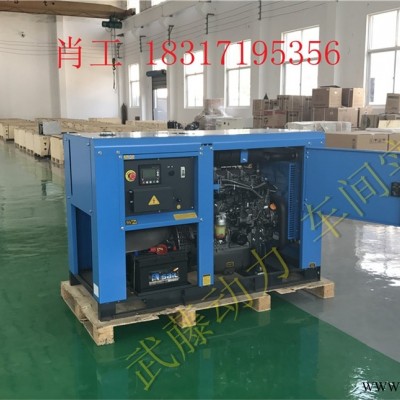 焦作600KW20KW专用汽油发电机