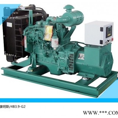 东莞发电机专家 发电机专业生产厂家20KW