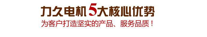 YE3 IE3 系列超高效率三相异步电动机 YE3超高效店家电机示例图7