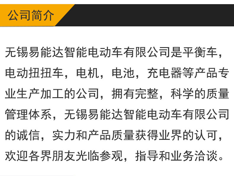 厂家直销平衡车6.5寸旋风款 童车 扭扭车平衡车电机无刷直流电机示例图5