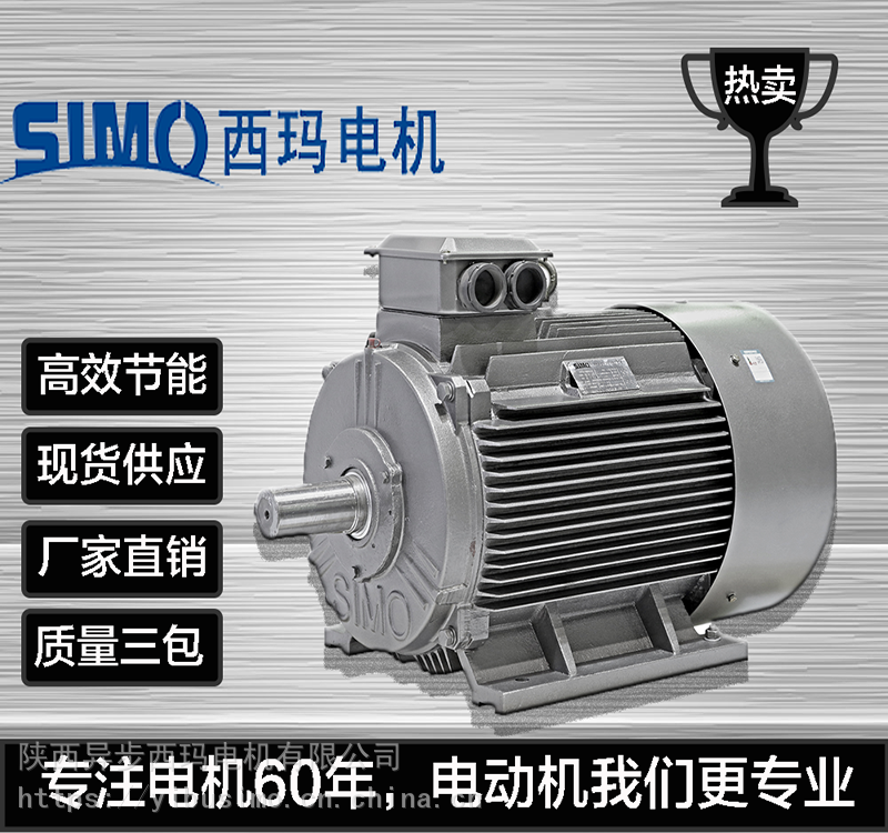 西安西玛低压三相异步电动机YVFE2-315L1-/160KW/F/S1工作制