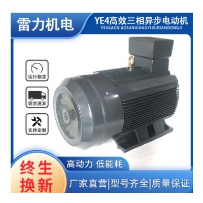 雷力电机厂家销售YE4系列三相异步电动机 YE4-80/90/100/112/132M