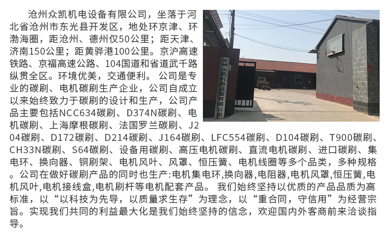 专业生产电磨碳刷电磨专用碳刷架 直流电机碳刷电刷 电动工具碳刷示例图16