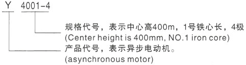 西安泰富西玛Y系列(H355-1000)高压三相异步电机型号说明