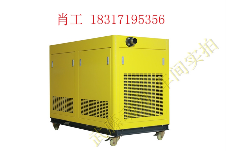 吴忠290KW20kw三相汽油发电机