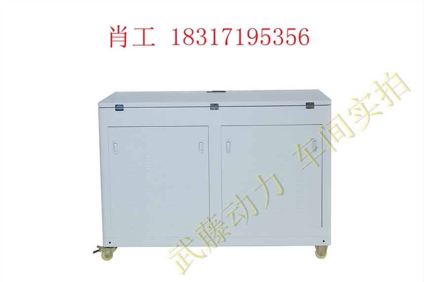 山西8kw30千瓦汽油发电机