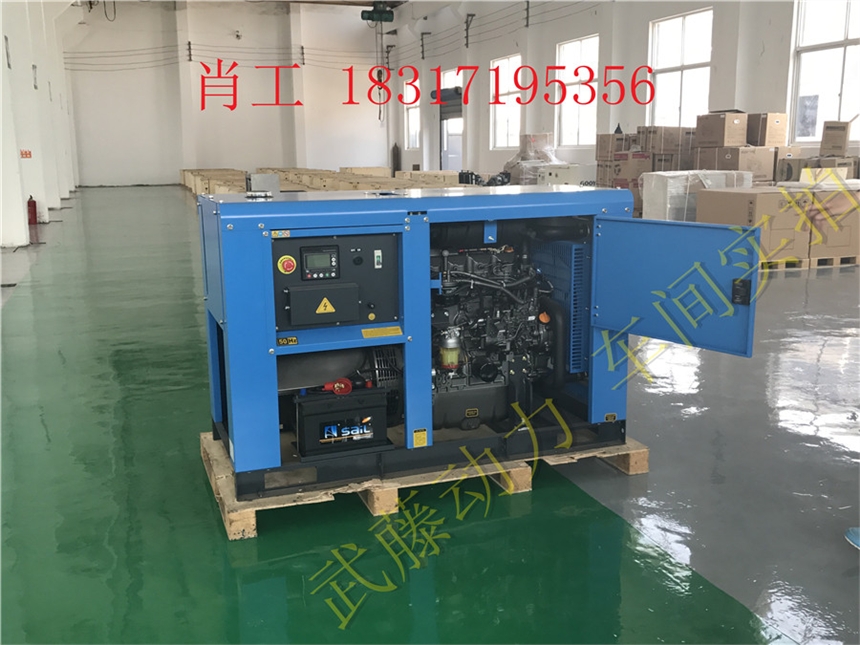 瑞安7.5KW2.5千瓦汽油发电机