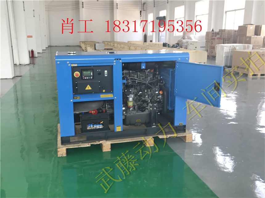 瑞安7.5KW2.5千瓦汽油发电机