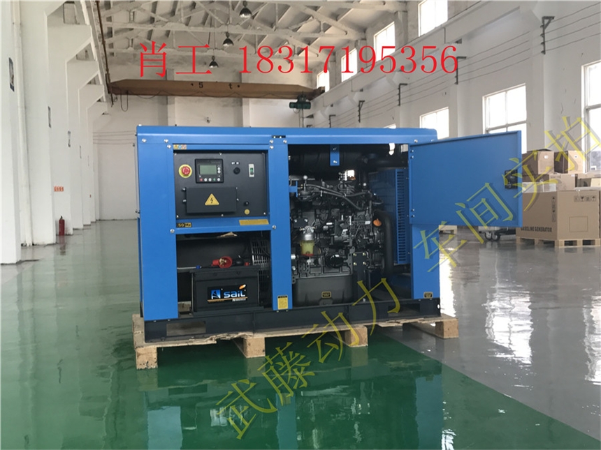 瑞安7.5KW2.5千瓦汽油发电机