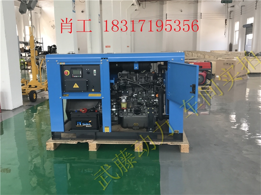 瑞安7.5KW2.5千瓦汽油发电机