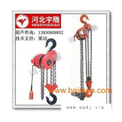 5吨爬架电动葫芦双链葫芦|群吊环链电动葫芦采用G8
