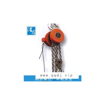 厂家直销群吊爬架焊灌环链电动葫芦10吨价格优惠