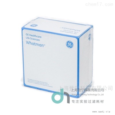 whatman 0.45um玻璃纤维针头式滤器