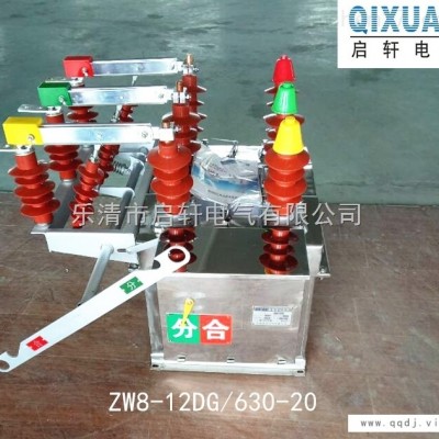 淮北项目使用ZW32-12G/630-20真空断路器图