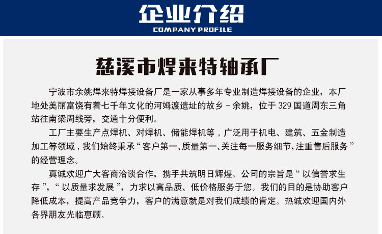 厂家直销 质量保证 专业生产 点焊机 高频焊机 气动点焊机 批发示例图7