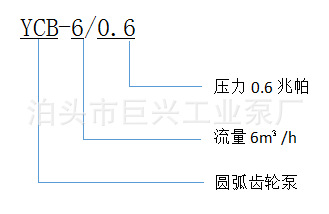 厂家直销 圆弧齿轮泵 ycb双圆弧正弦曲线齿轮油泵 圆弧泵批发示例图9