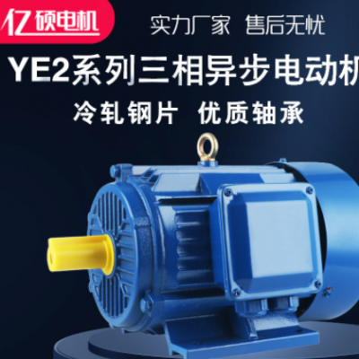 厂家直发三相异步电动机 三相电动机 交流电机 Y2 YE2 YS YX3 Y3