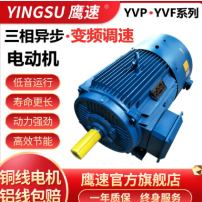 厂家批发YVP YVF200L1-2 30KW千瓦变频调速三相异步电动机马达